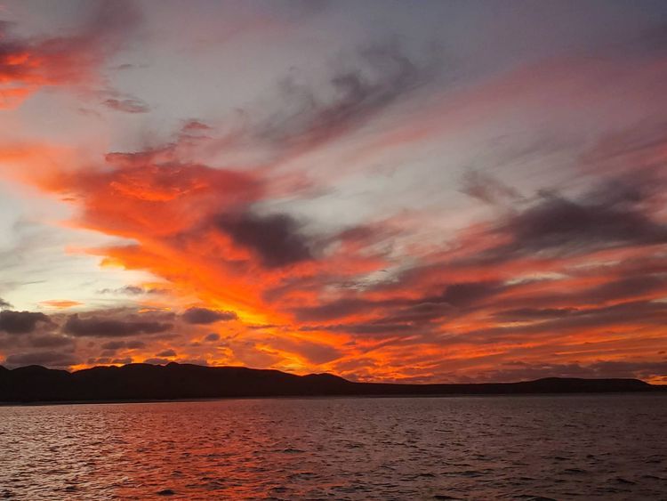 Voyage photo from Bahia Santa Maria - Man of War, Magdalena Bay