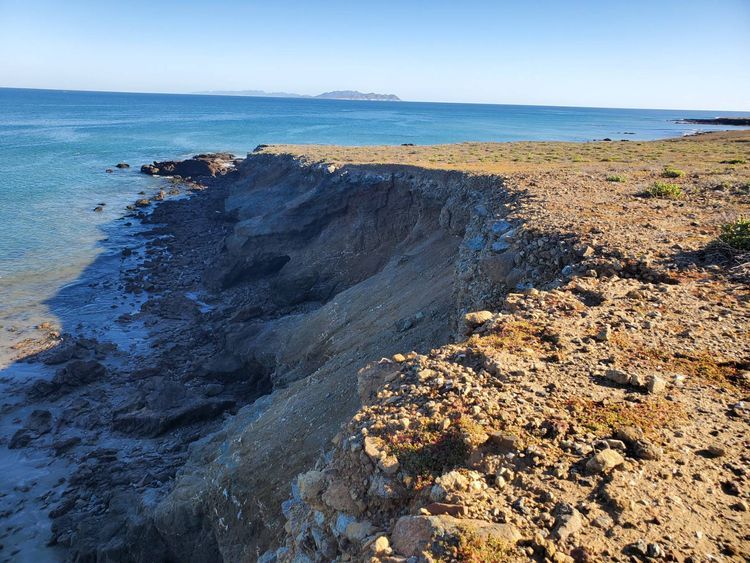 Voyage photo from Bahia Santa Maria - Man of War, Magdalena Bay