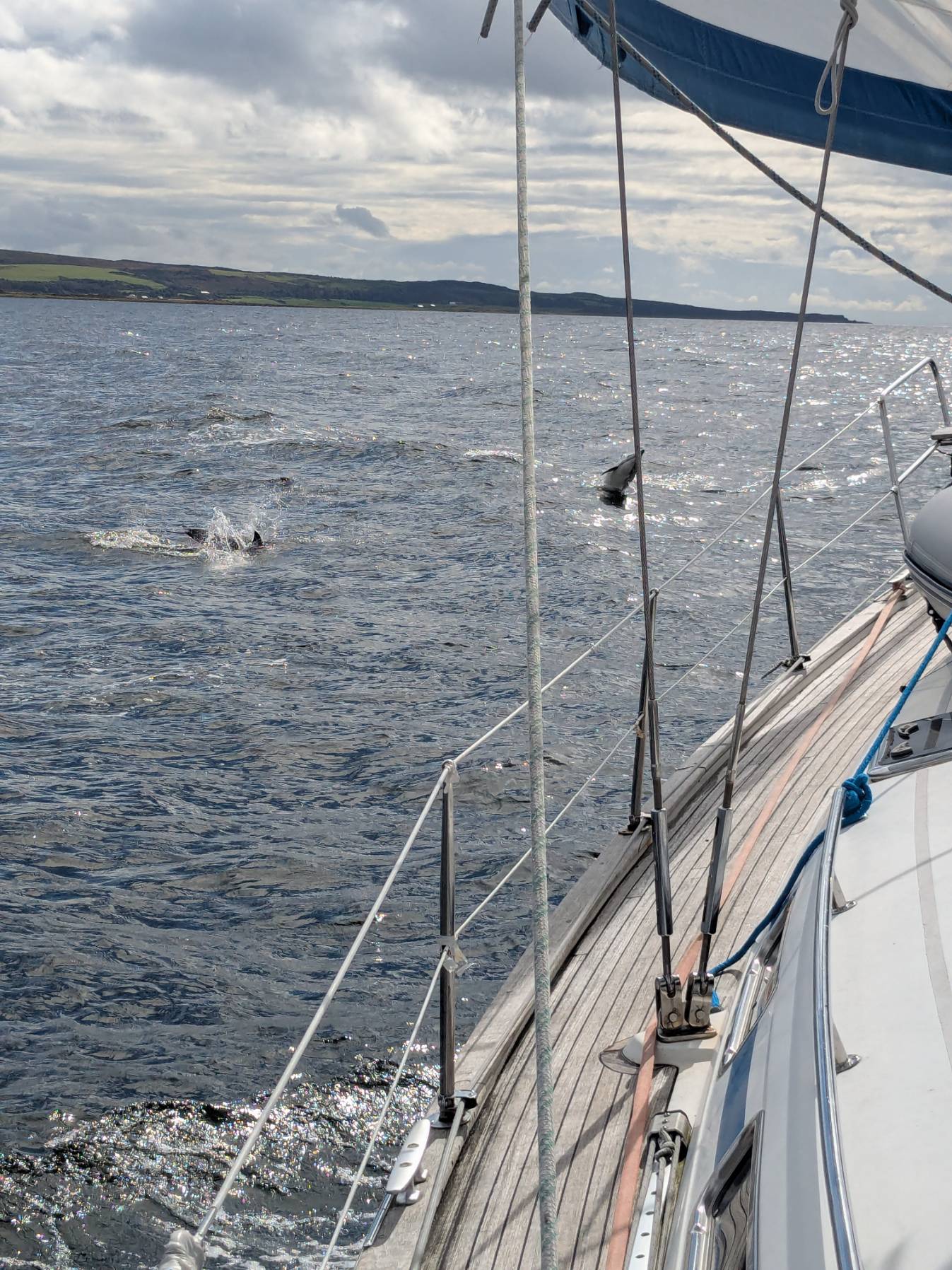 RYA Day Skipper/Comp Crew - Day 2_18621578-50B3-4CAC-A808-03CBAE3B310F