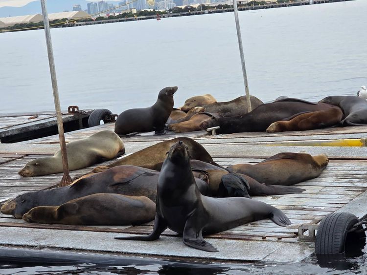 Voyage photo from emb with Bret on 699