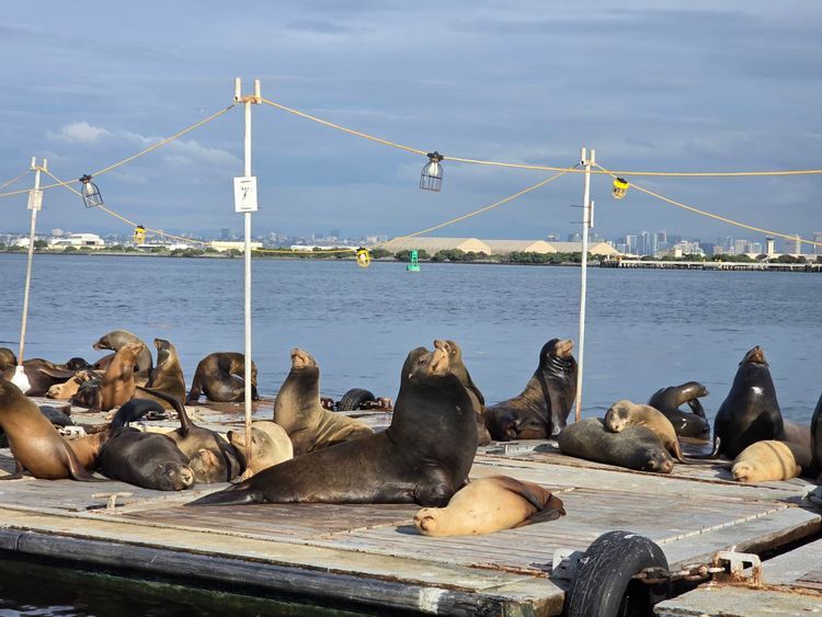 Voyage photo from emb with Bret on 699