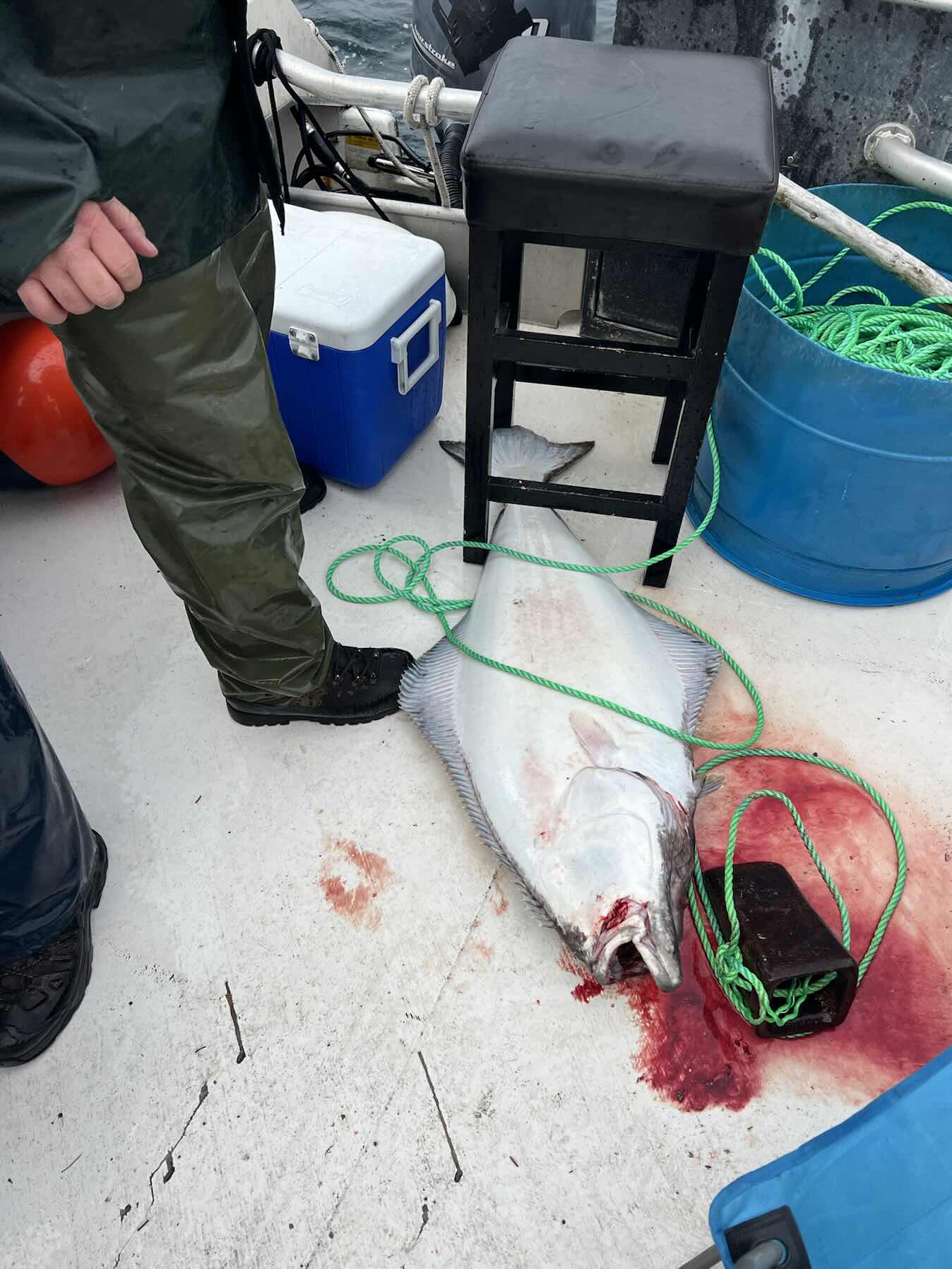 Fishing Day @ Haida Qwaii_30194F87-3713-47A7-A8CC-0E0918956E50