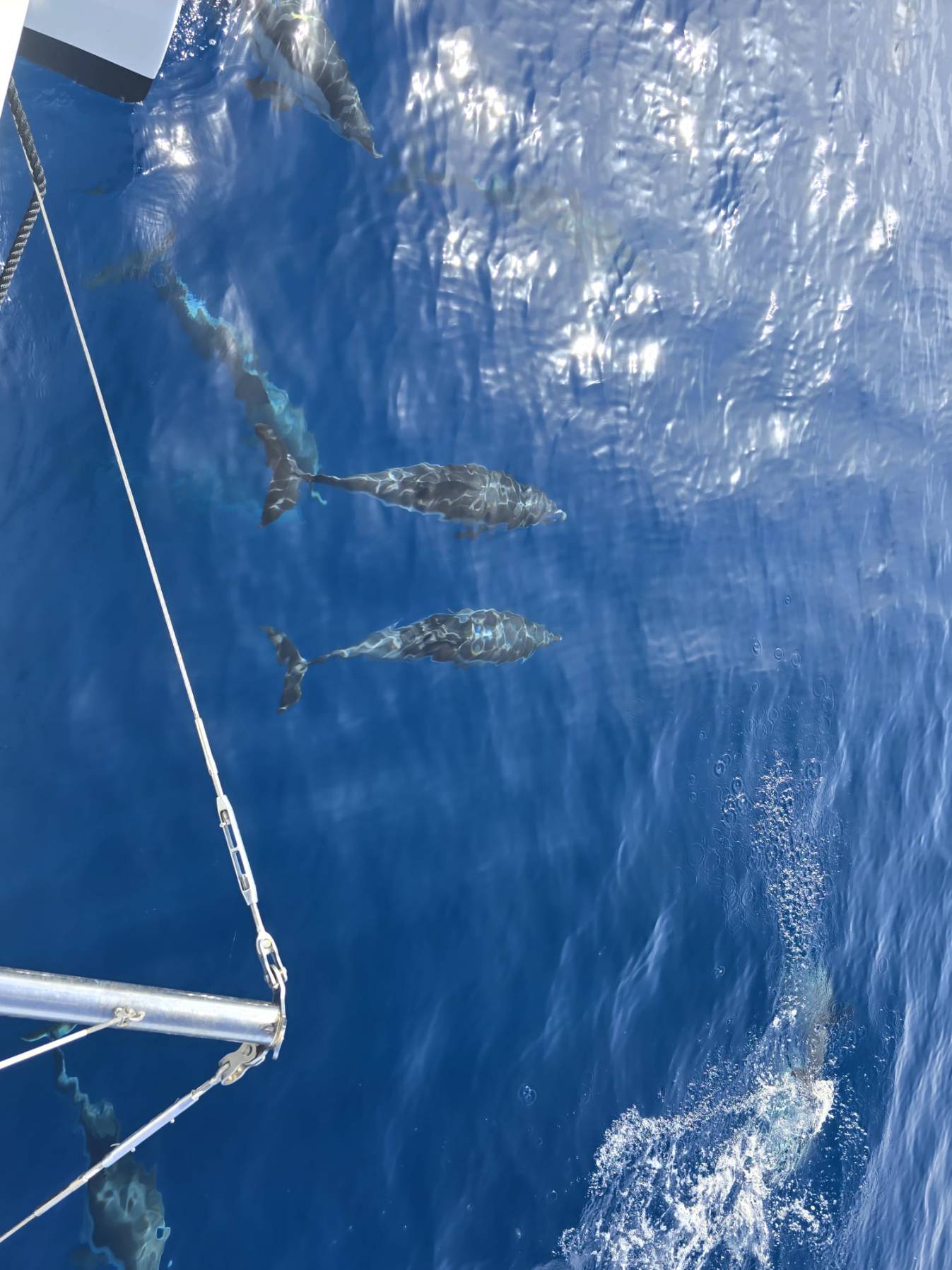  Bonus Miles Flotilla XV Leg 3_78A889A2-58A0-4BC5-ADE5-0B4A26D5716F