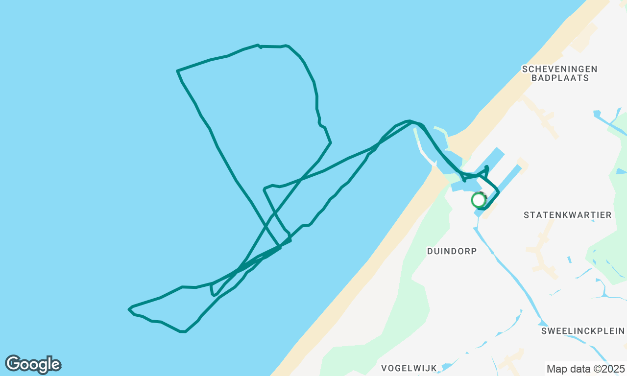 Training on Ijsvogel