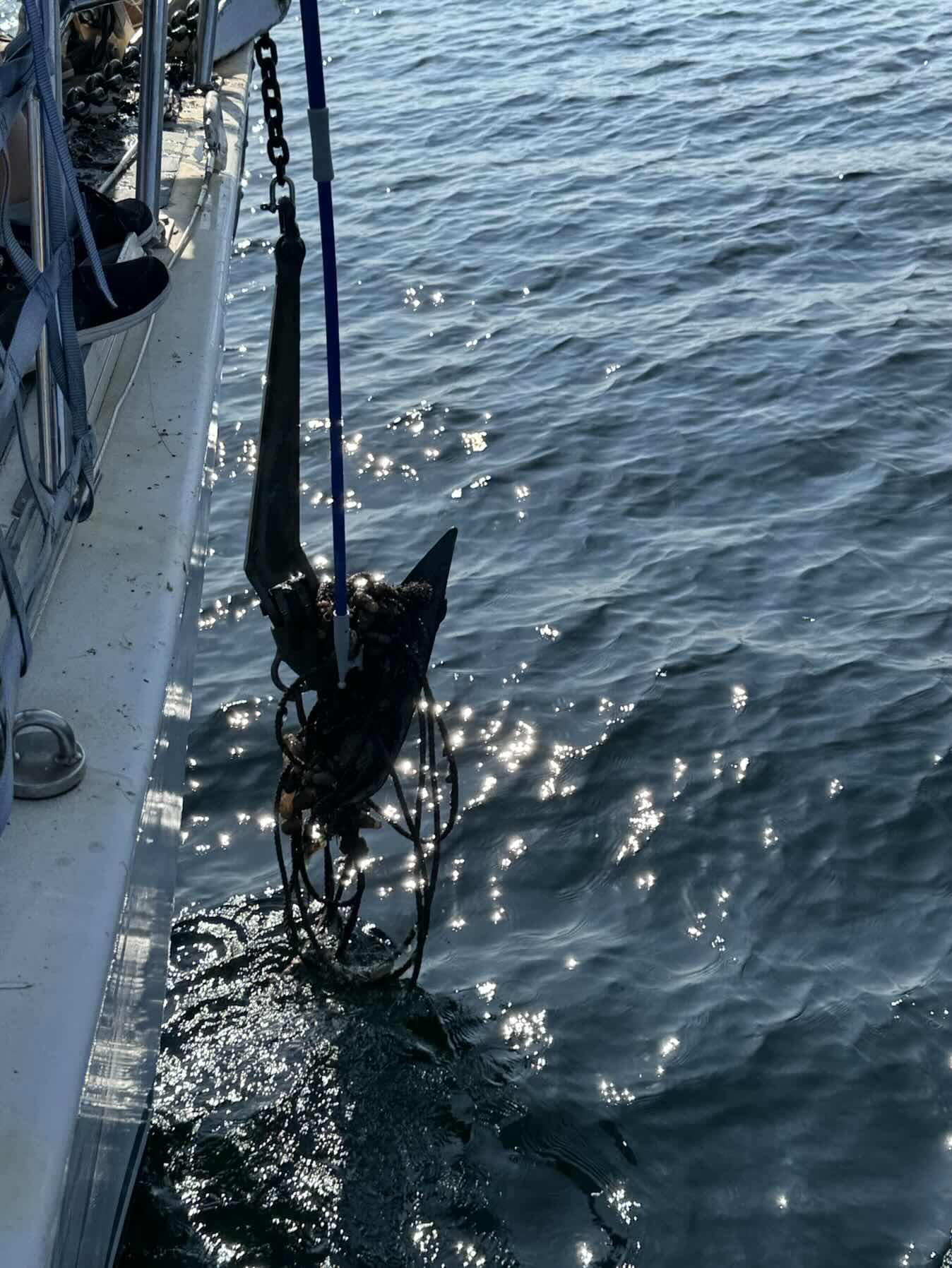 Day sail 2 - TYST Watch Leader training. _312B5A77-5514-41A2-AD3B-6C6B5995F3BF