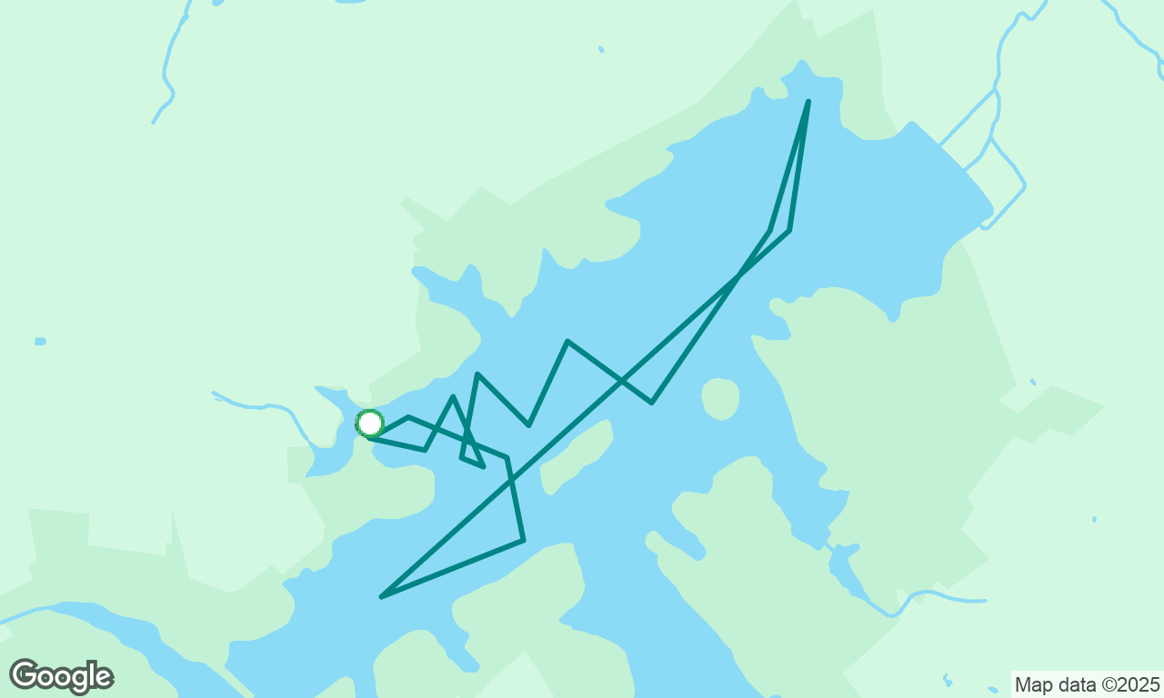 Camping and a sail