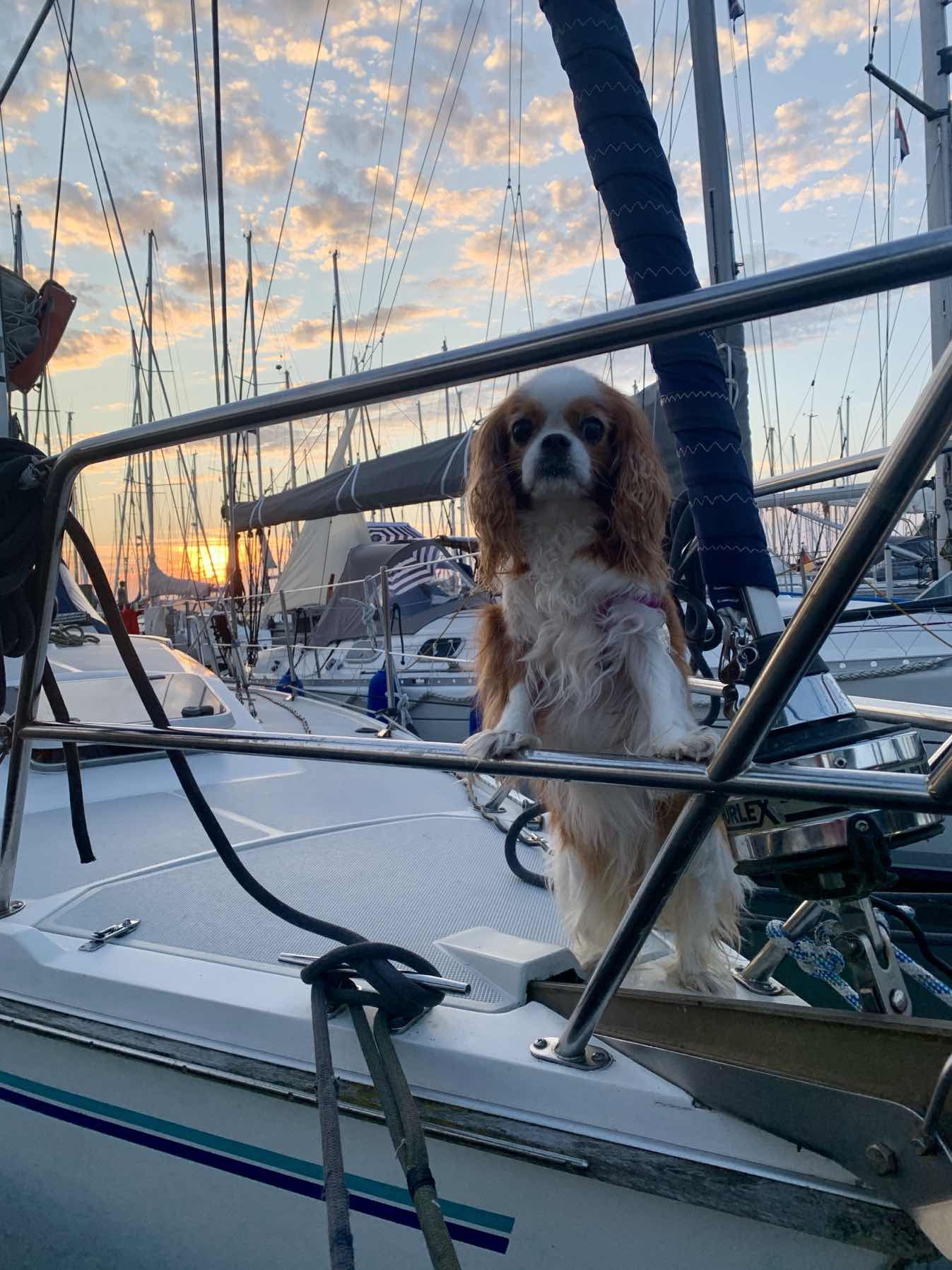 Sailing Two Boats 2026 Day 2: Hideloopen to Harlingen_88F4FCB7-DB89-4238-923D-0DBF7B5F5DC6