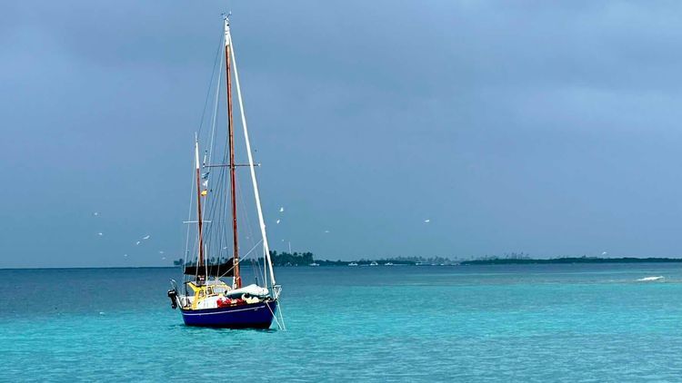 Voyage photo from Lemons to Hot Tub