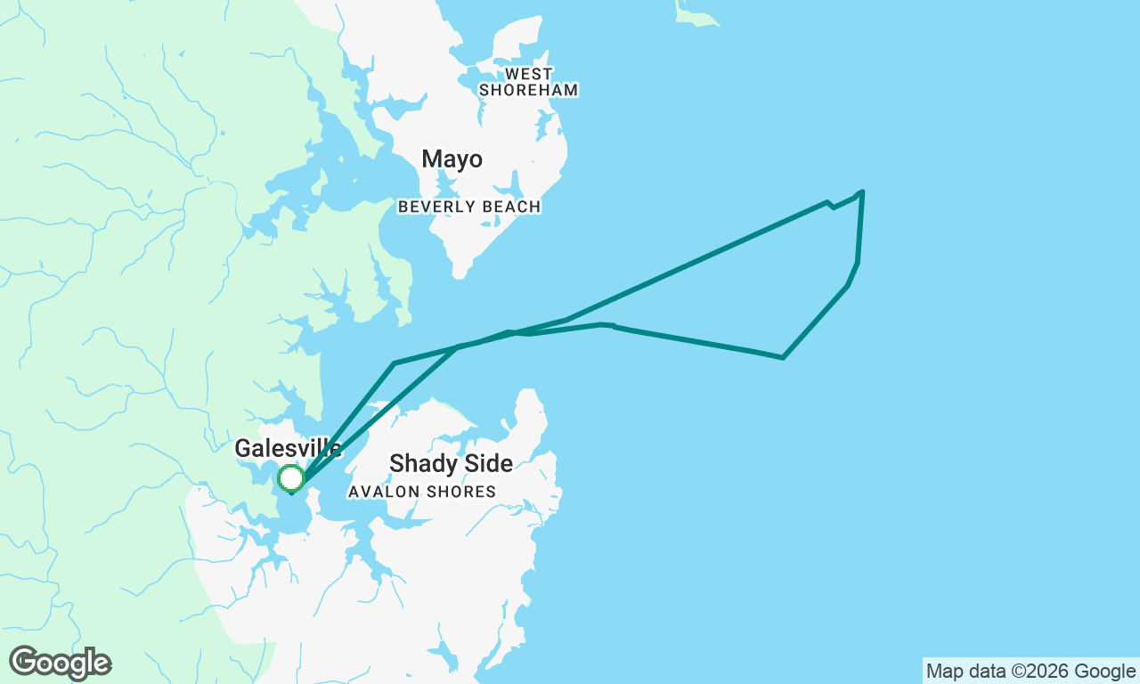 ANSA  Day sail