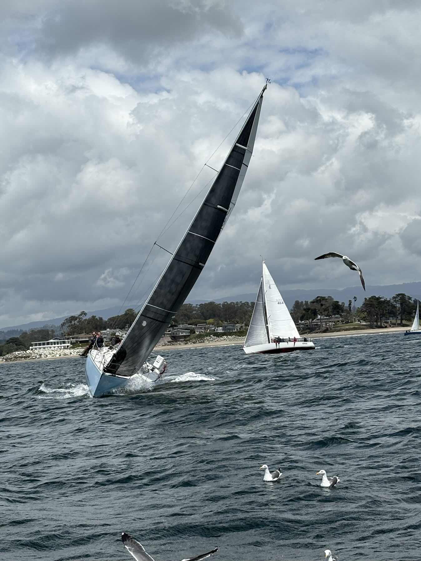 Otter cup 2026_A7E9CDB3-5CC5-4BF3-B95D-FB328039A55E