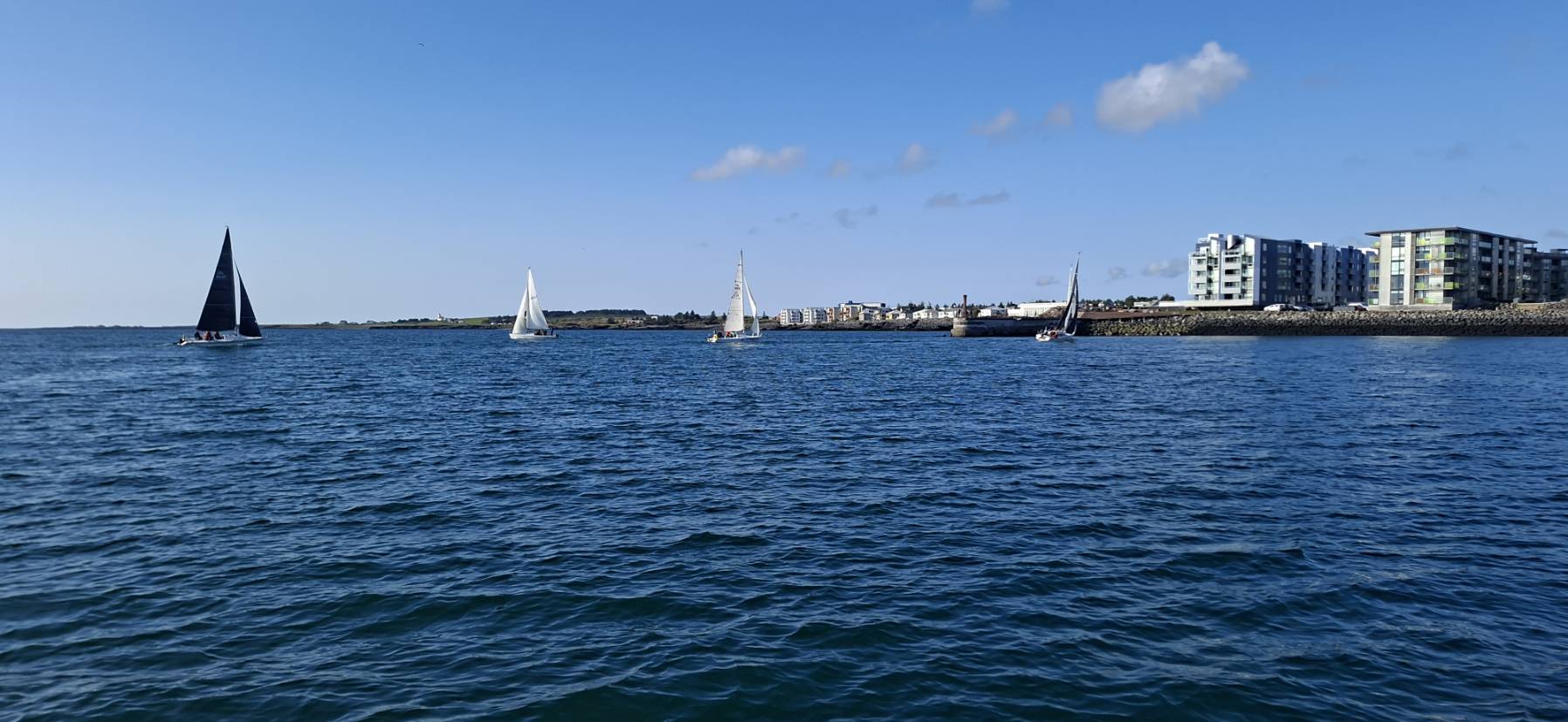 Reykjavík Regatta_8716B370-BECD-44B5-ACBC-7DAB23720F1E