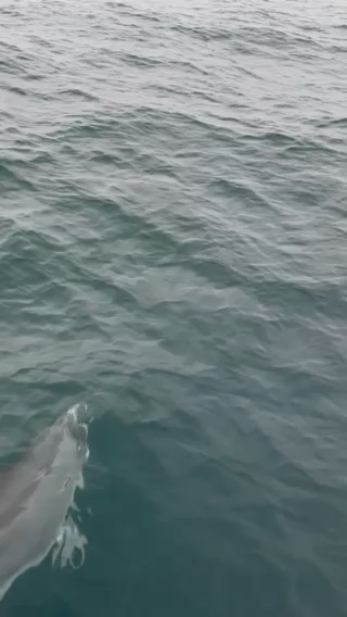 Scotland West Coast 2024_C93DA32F-3C5E-47C4-AFA0-E24BD6EBF9AE