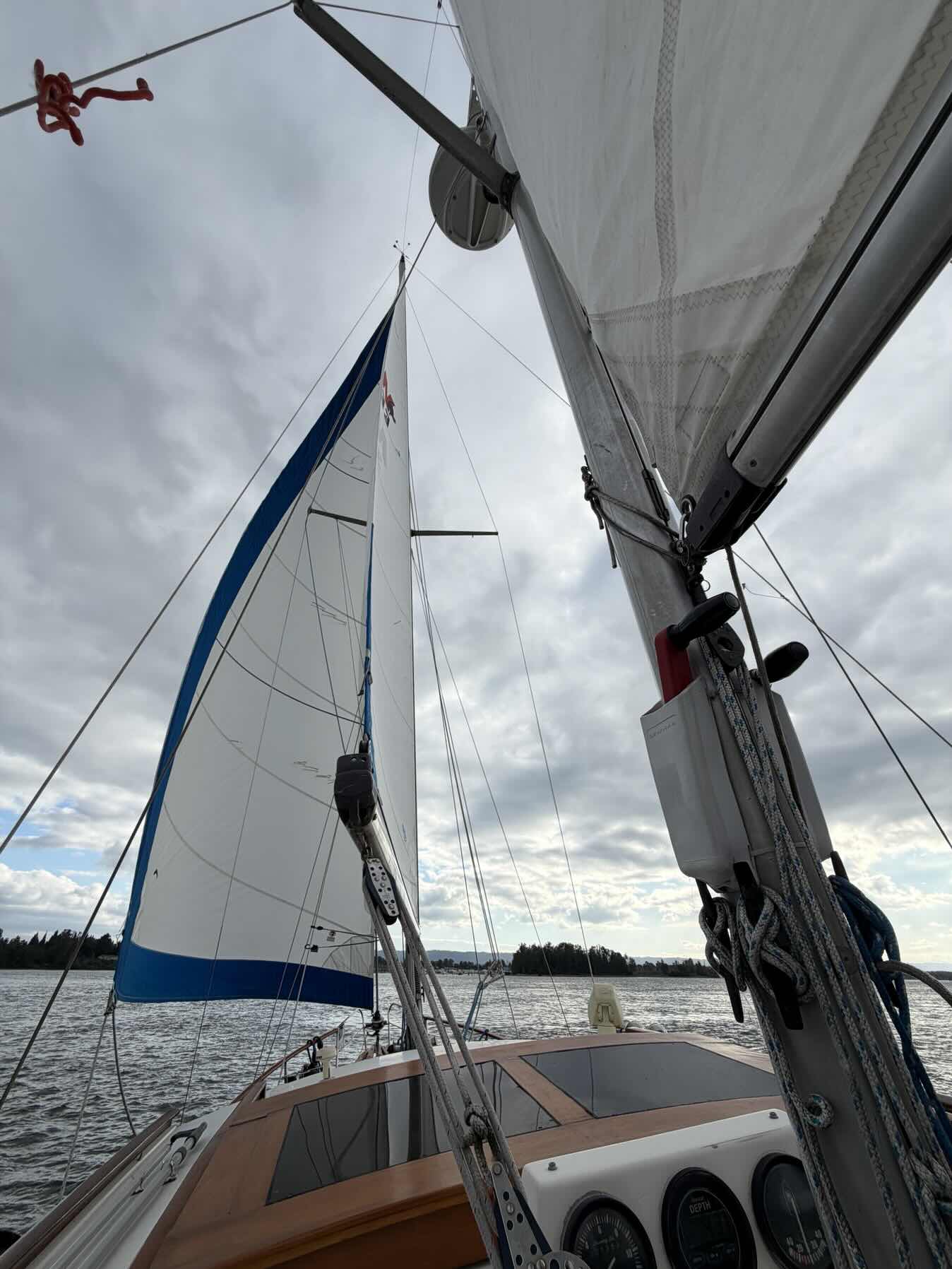 OWSA Wednesday Night Sail_22B04339-37BF-4728-B709-DD445220E3B8