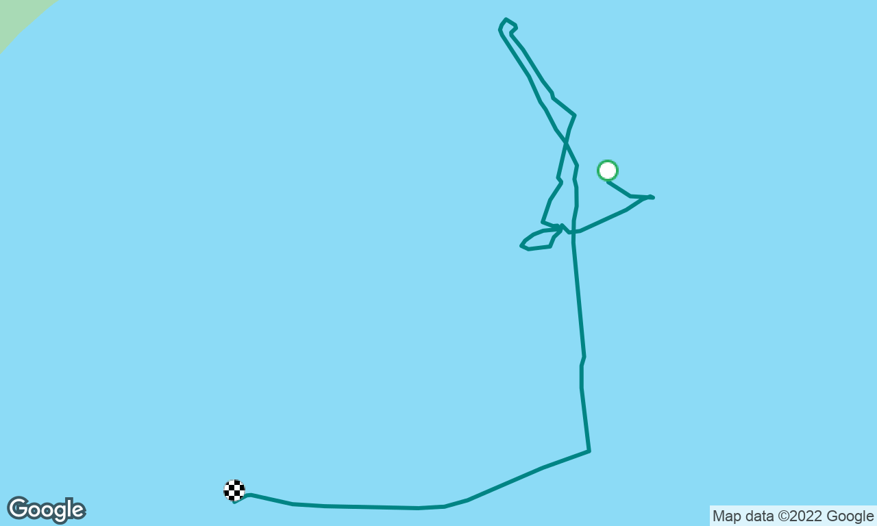 Cowes week day 7