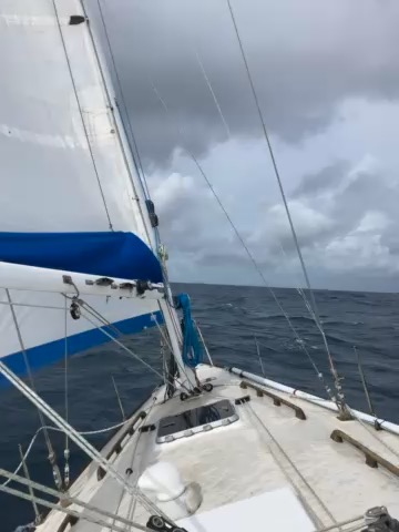 Voyage_1982BBEA-28F4-4391-89A2-ACC8516CBB2B