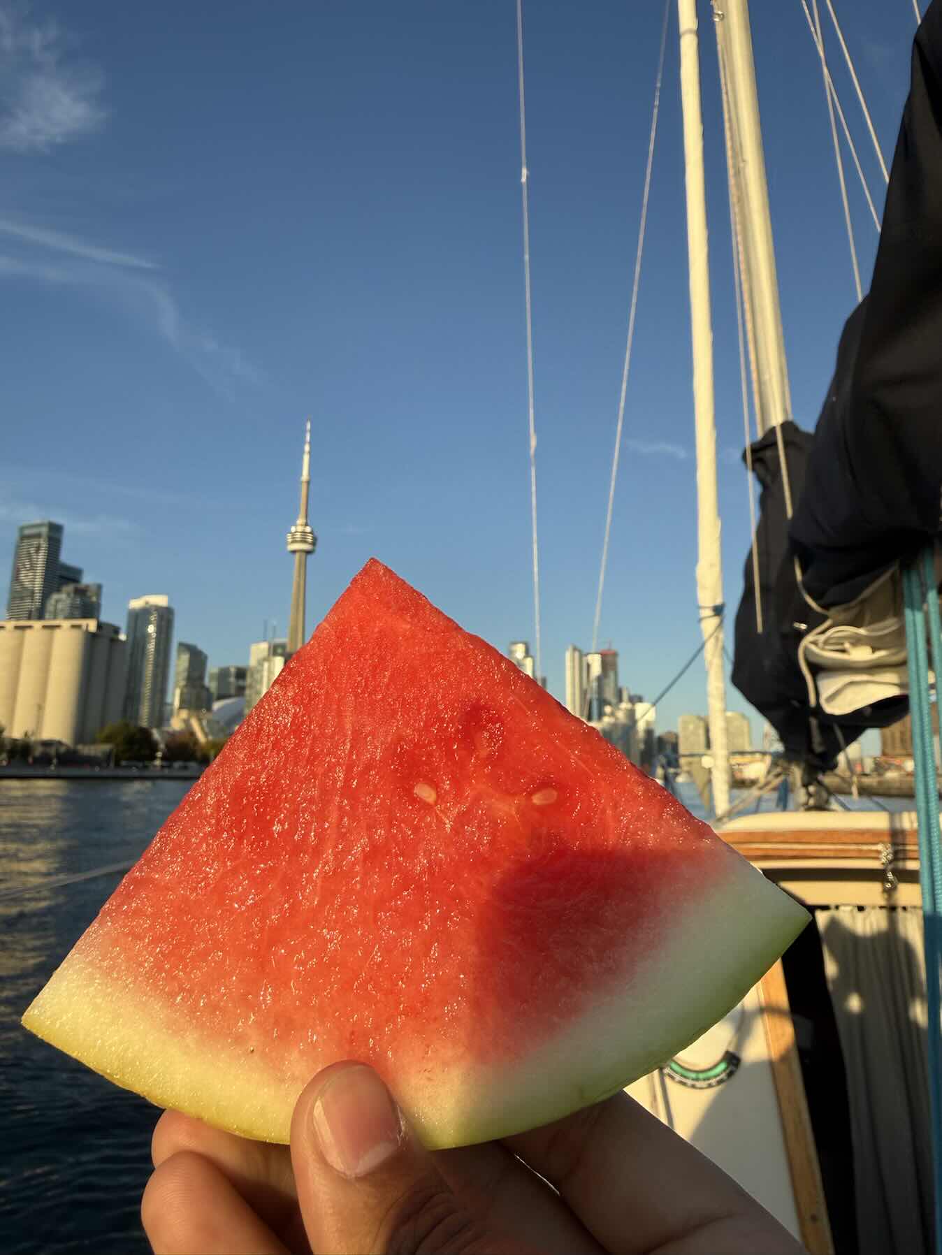 Watermelon Sugar High_415BB3A4-9FA9-49B6-BD70-428EFA8C49A0