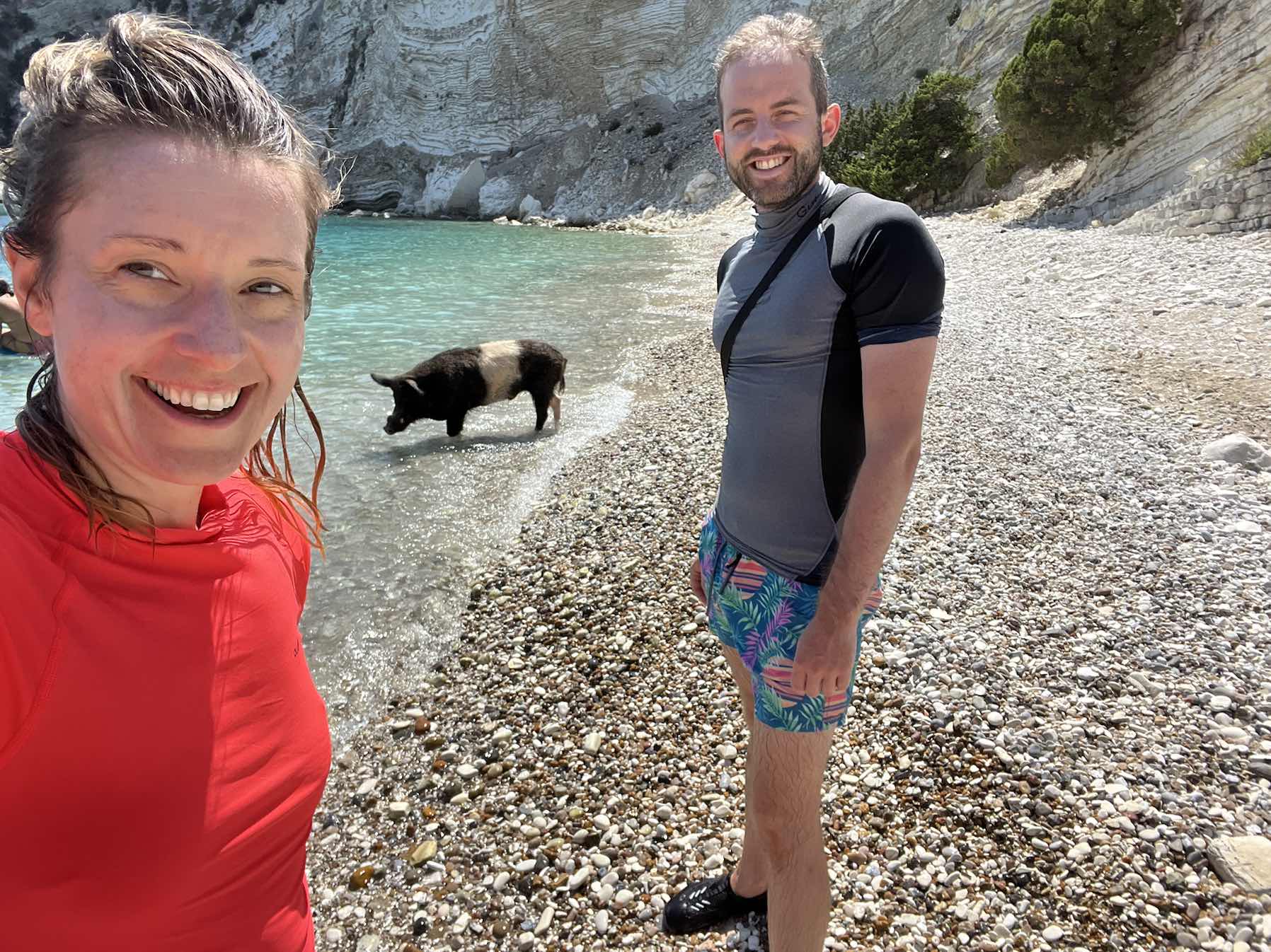 Catching up with Eli and his piglet friends 🐷 ⛵️ _753E114A-D8AB-4FD8-8E94-3A1A2B9759C8