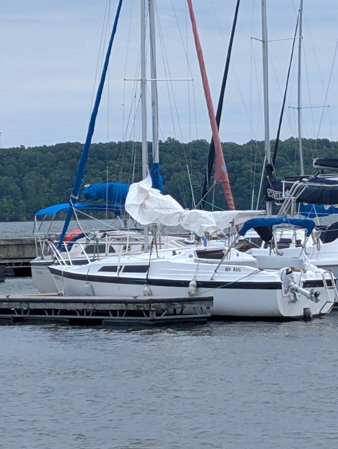 With Skipper Bruce on MacGregor 26, LMSA 20260515_EAEF917E-DBD8-4690-BE2E-49201EC5B41A
