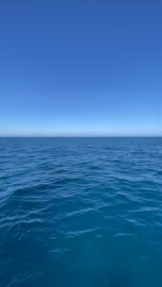 Traversée de l’Atlantique de Gaspé aux Açores_DFDF1458-A088-4A2C-832F-72BB3347D4BD