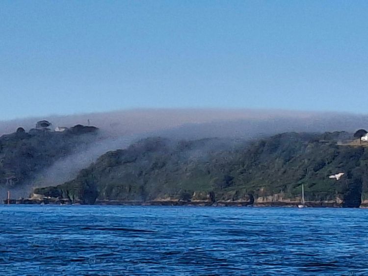 Voyage photo from St Peter Port to Dielette through fog