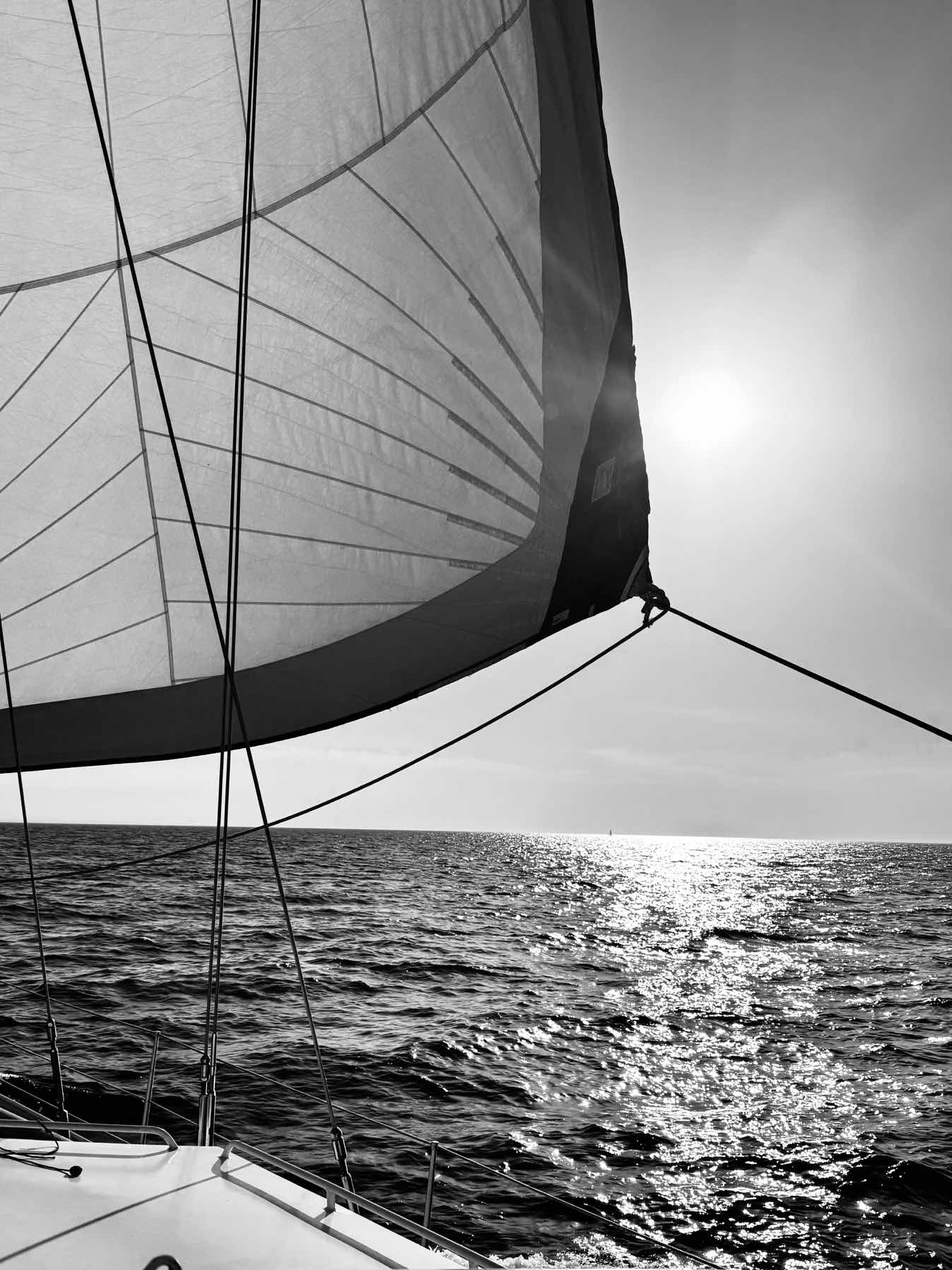 Voyage_02B13BD3-4670-4090-8C16-50CC05483CCF
