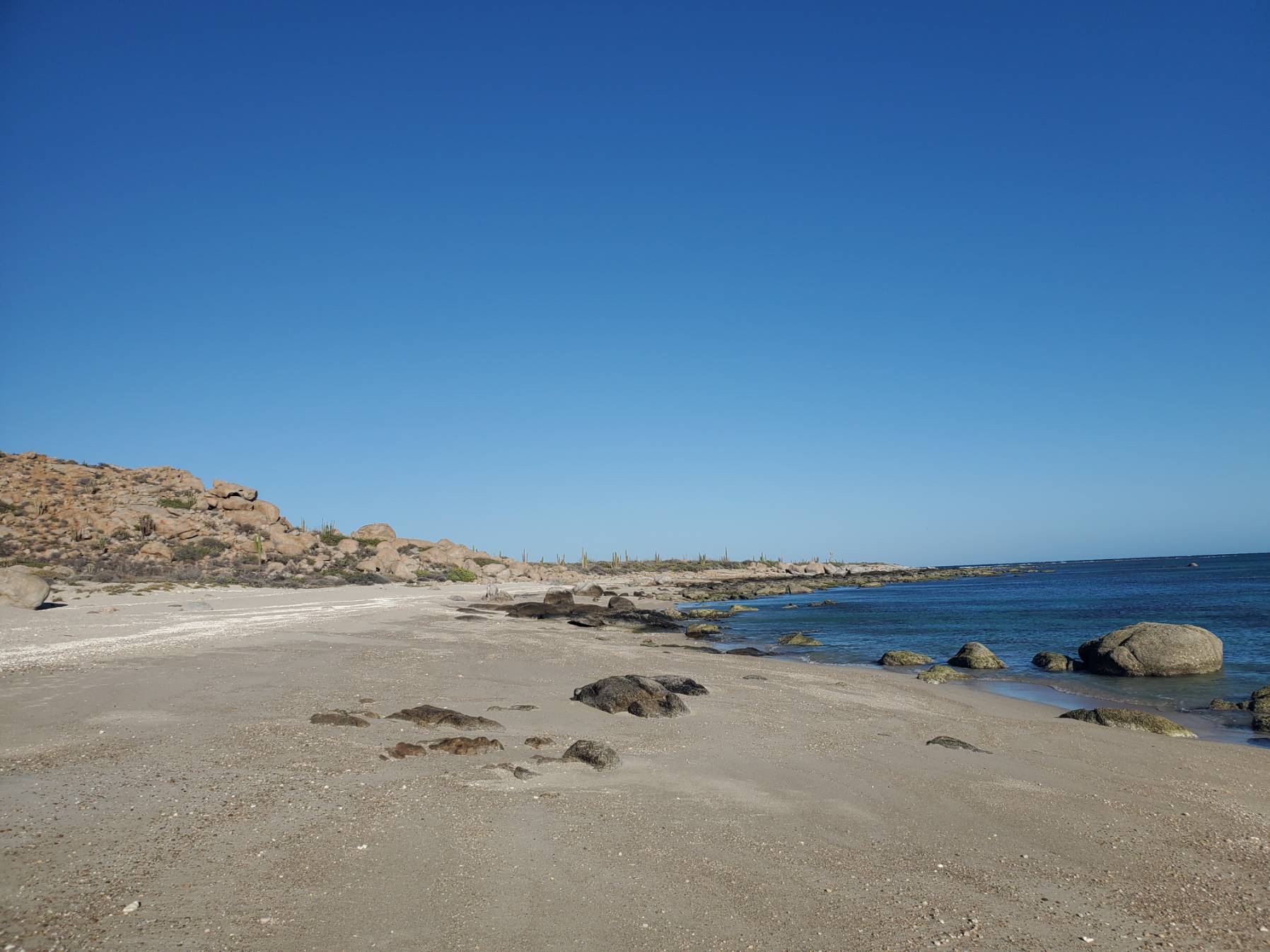 Playa Bonanza -La Paz_8C097F47-3F7C-4BE5-9F37-C61FC274938D