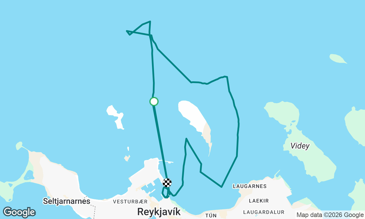 Miðvikudagssigling 24 jun 2026