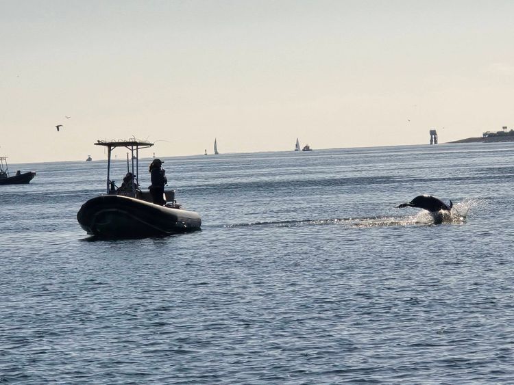 Voyage photo from sp5 with Jewels on 664