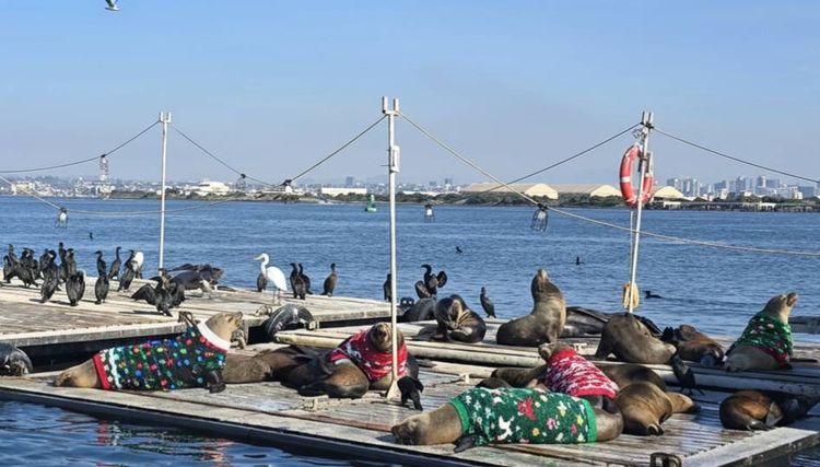 Voyage photo from sp5 with Jewels on 664