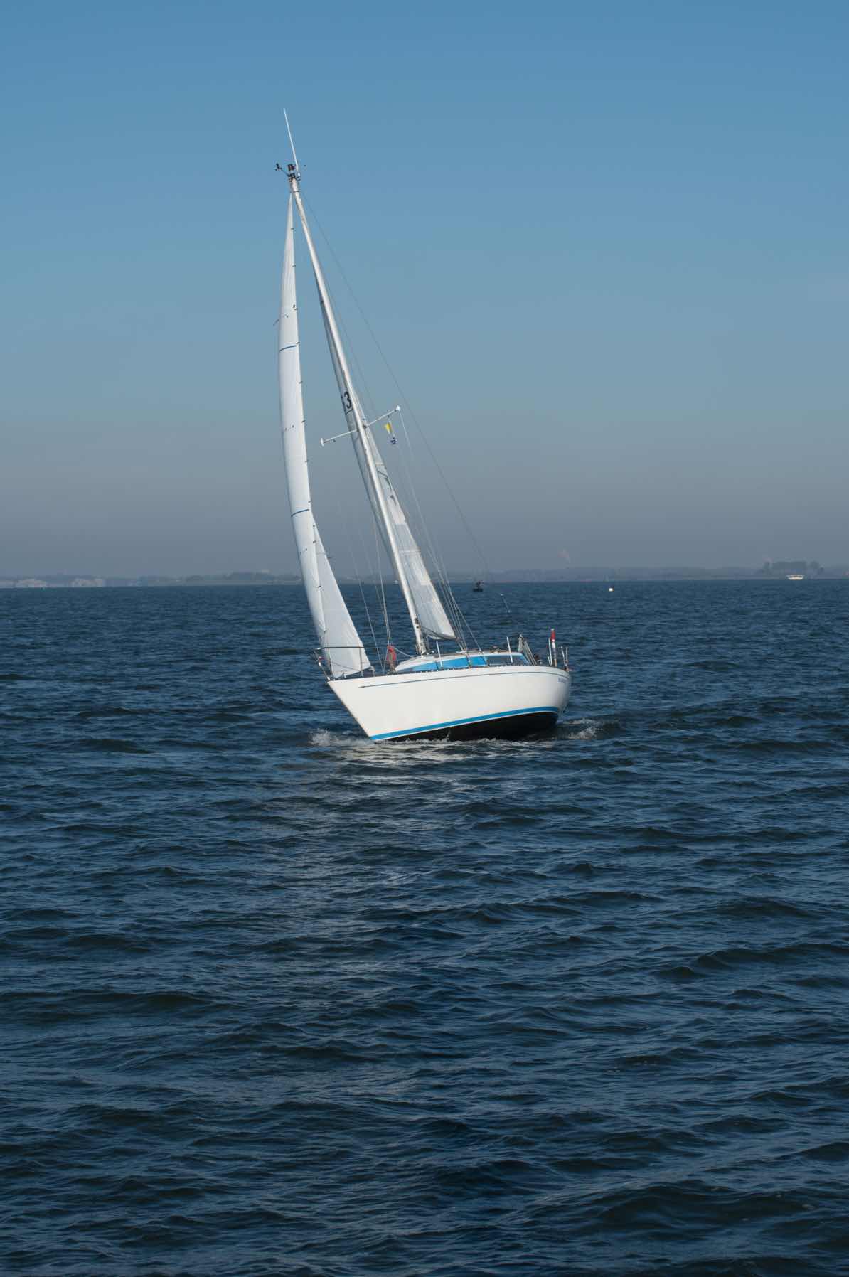 Mosselrace_5C9C1EED-3D86-4DED-B9D5-3571C4D16872