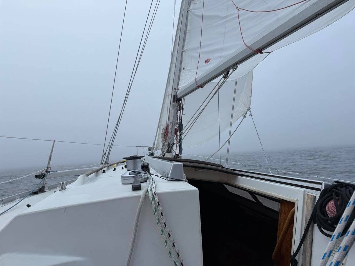 Voyage_874E9A52-6F85-4E48-A0E4-E461853AC296