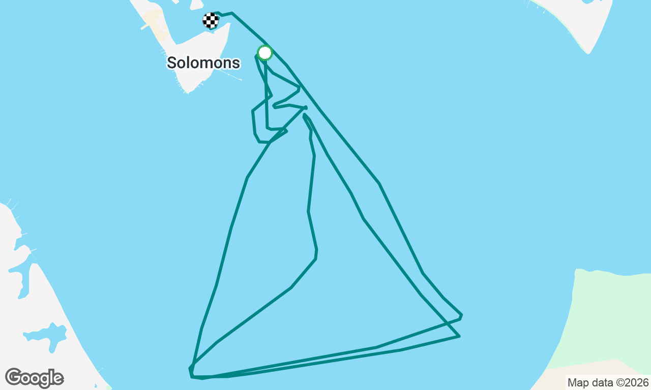Spinnaker Success
