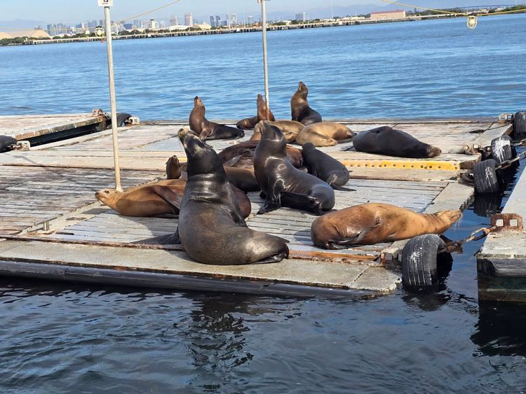 Voyage photo from emb with Bret on 659/664