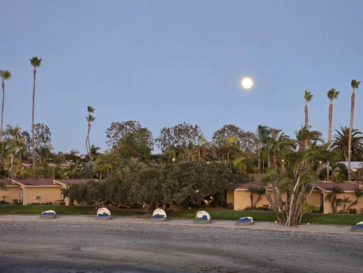 Voyage photo from ASA Holiday Cruise