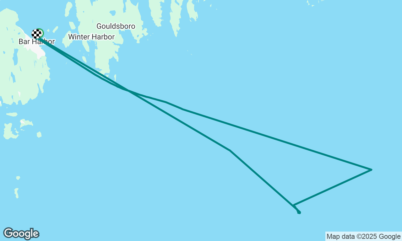 Whale watch