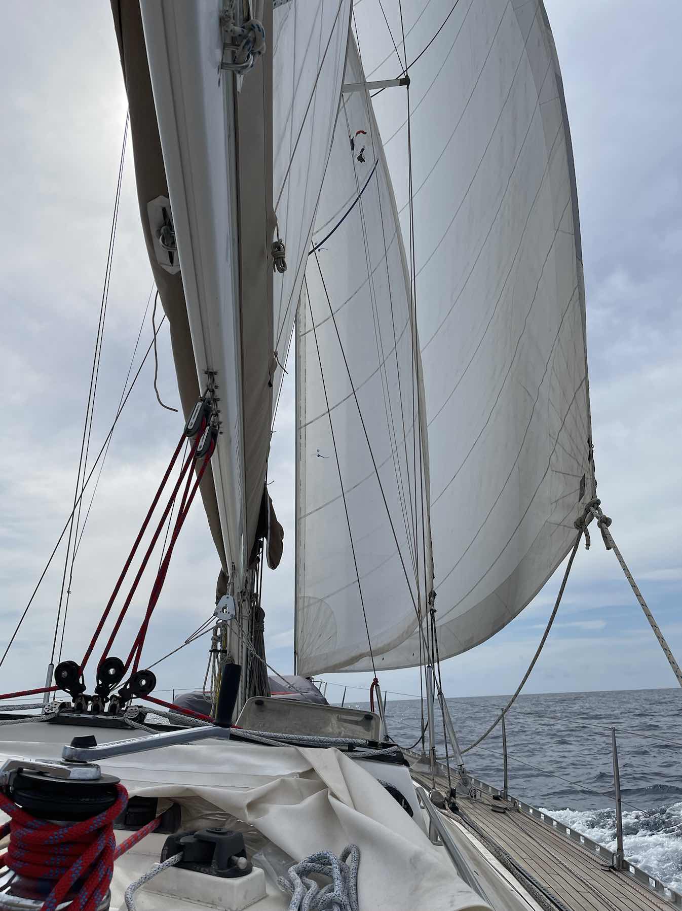 Voyage_8E7CF5EF-5C67-4BF4-8C4C-976F38A3CEA6