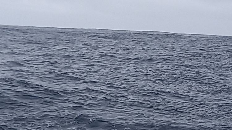 Voyage photo from Azores
