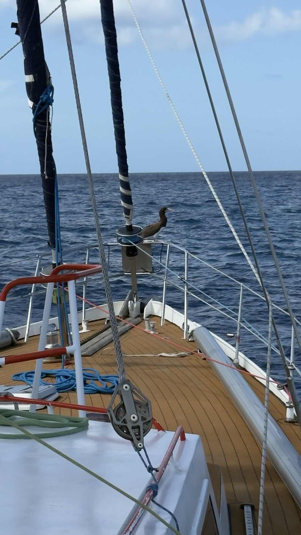 Voyage_054B090A-B674-401E-9ECB-7F82DB65DBF1