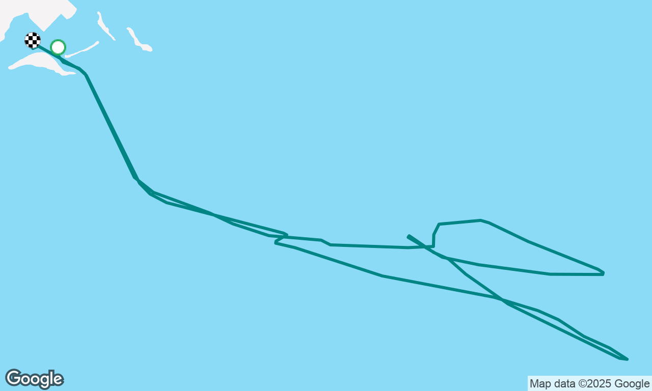 Paradoxie Daysail