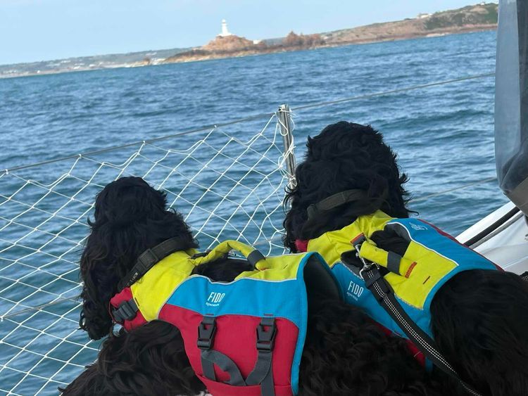 Voyage photo from Petit Port, Guernsey to Elizabeth Marina, Jersey
