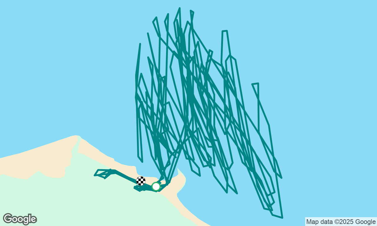wing foiling jericho 