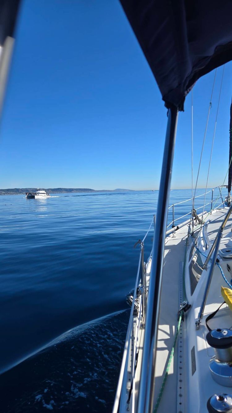 Voyage photo from Day Sail