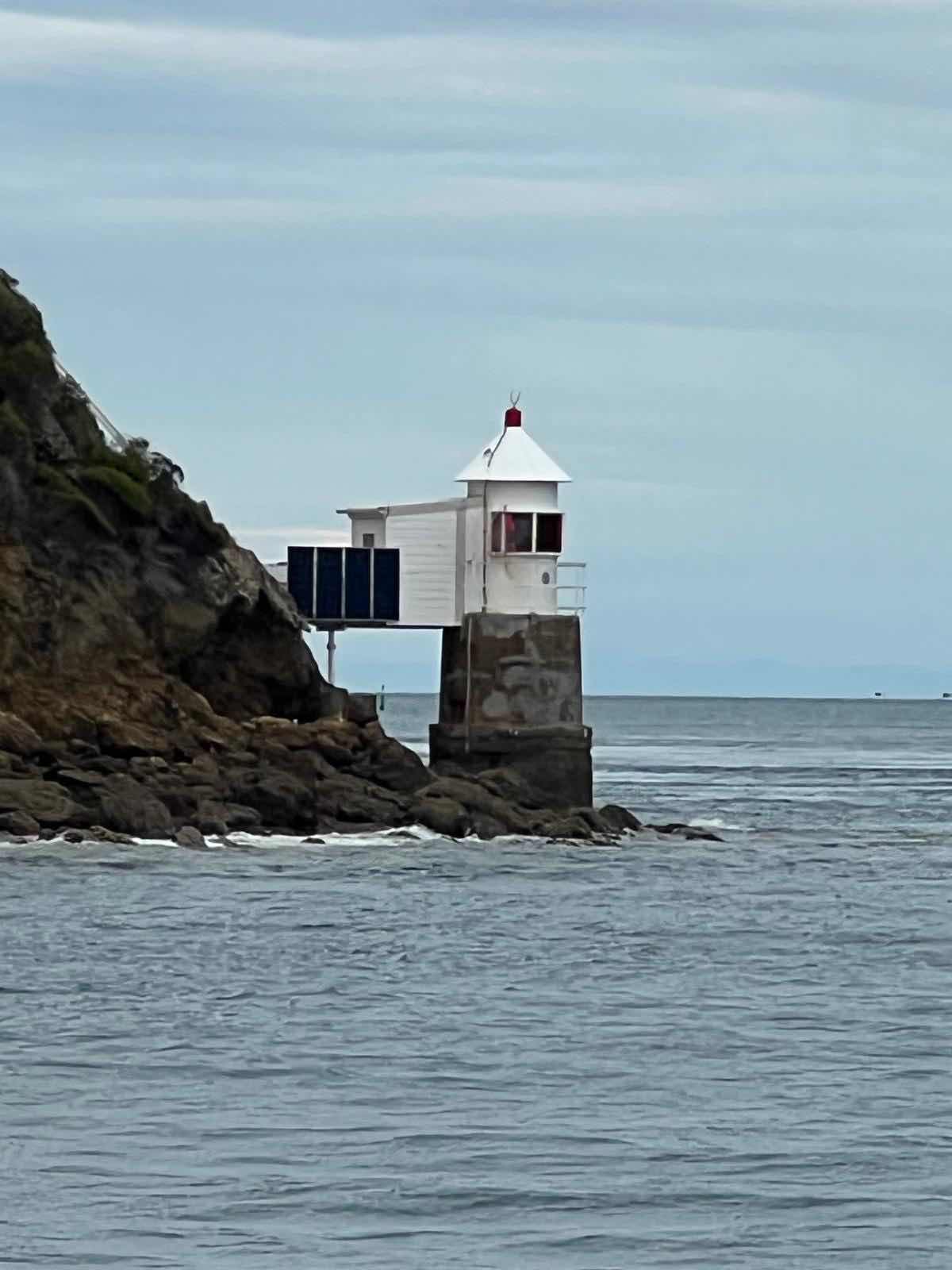 Camp Bay to Nelson via French Pass_C86229C8-D99D-44FB-9CFA-59158D779807