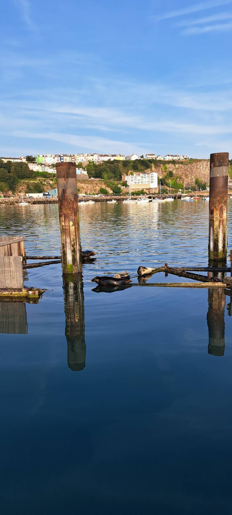 Brixham to Portland _D6BDCB84-7F35-4EFE-99DA-1B5AD33B3EAA