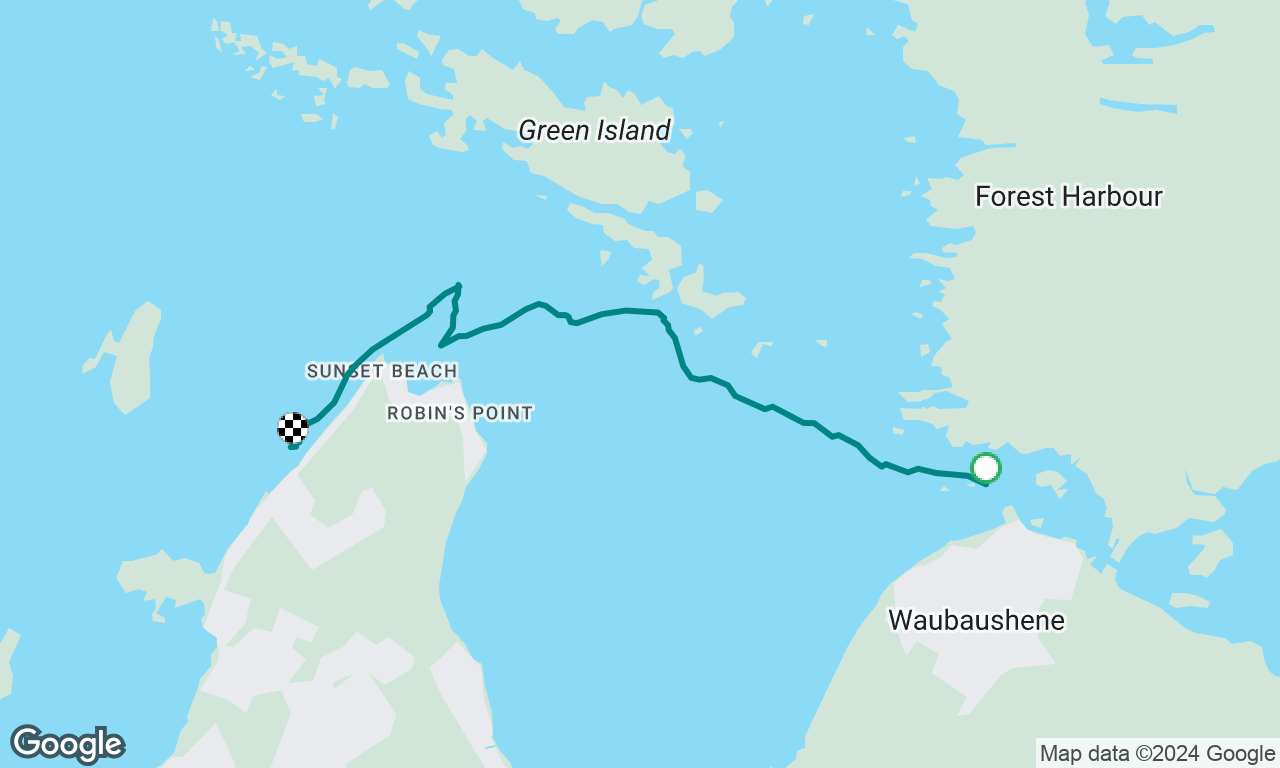 Hog bay to swim!