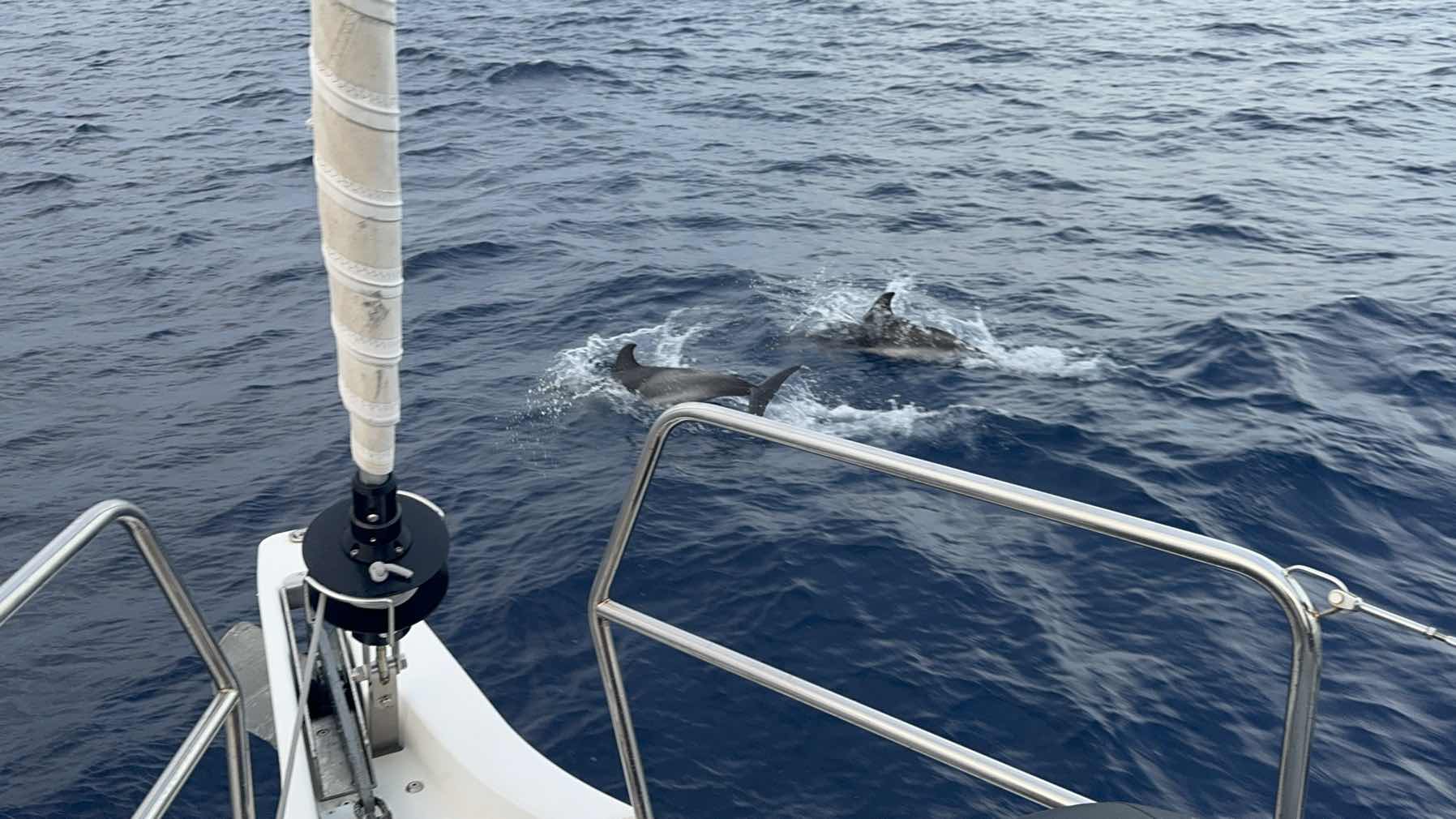 Barcelona Day 7 Sail back to spain_06C1D5E4-3F40-4123-B322-C90D5F98E11B