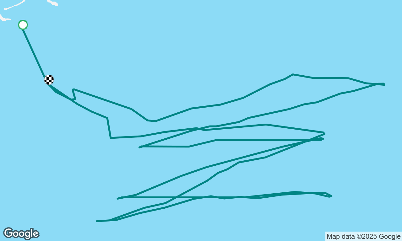 Paradoxie Daysail