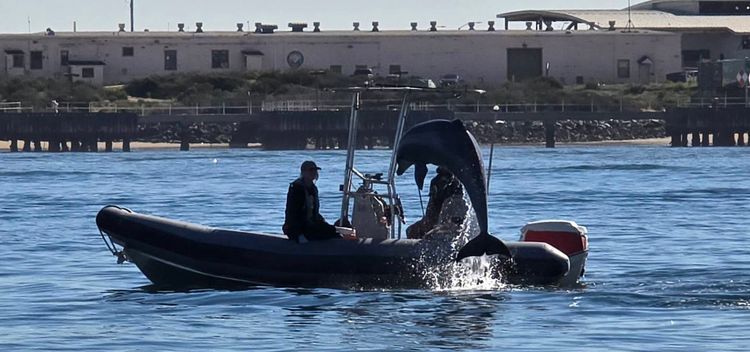 Voyage photo from sp5 with Jewels on 664