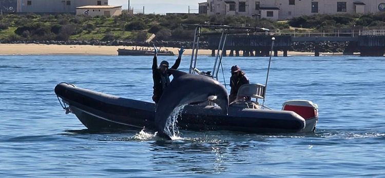 Voyage photo from sp5 with Jewels on 664