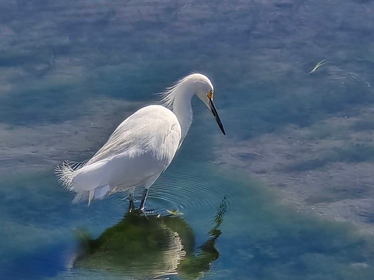 Voyage photo from sp5 with Jewels on 664